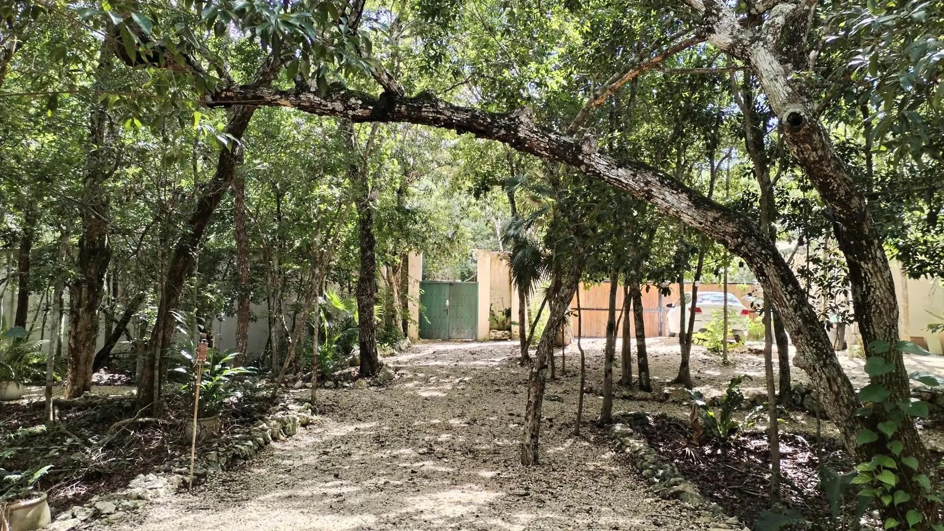 Saasil Kaax Villa Chemuyil Lodge