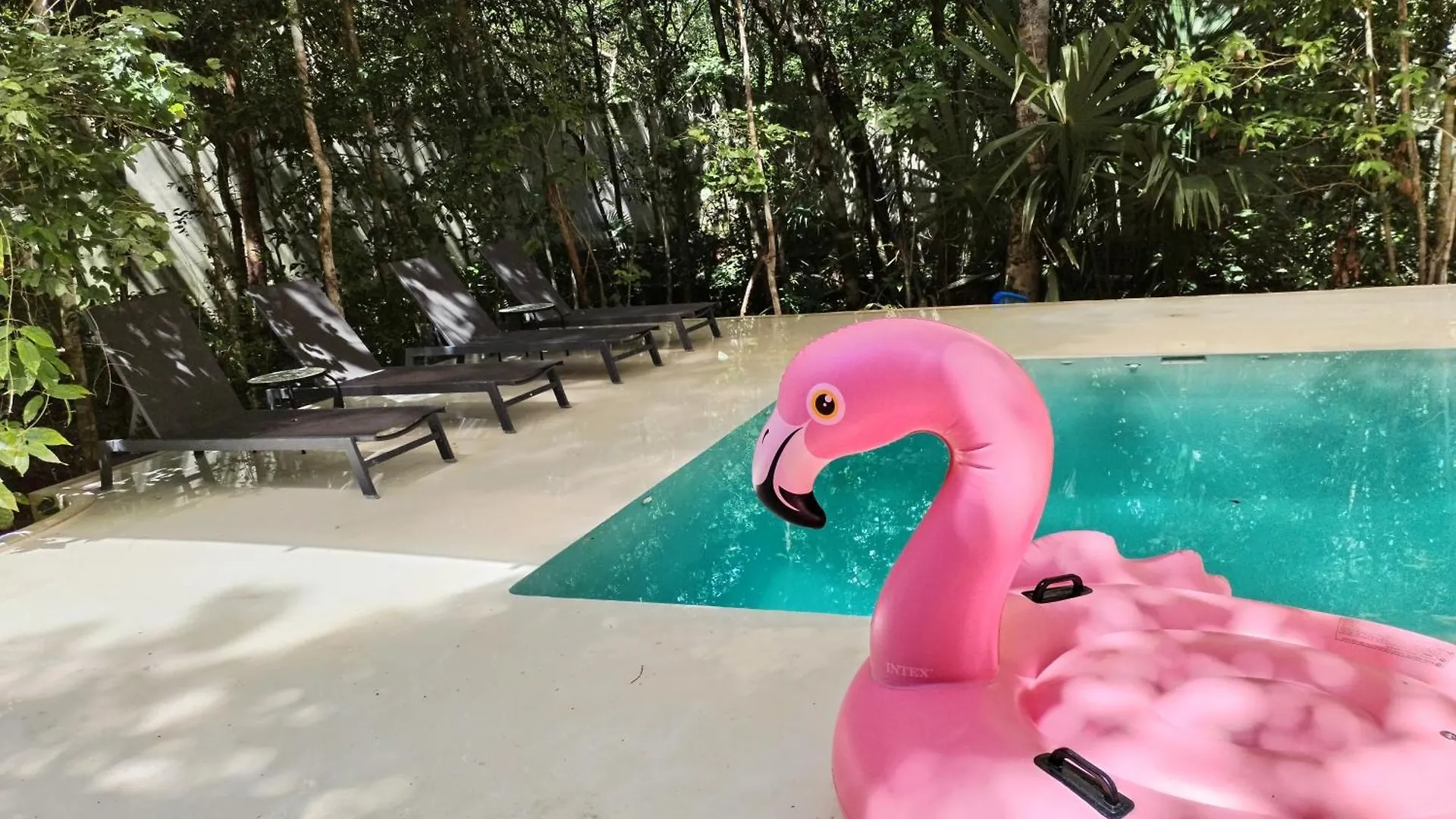 Lodge Saasil Kaax Villa Chemuyil Mexico